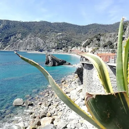 Nel Cuore Di Monterosso Cinque Terre Orto Di Ciack Monterosso al Mare Exterior foto