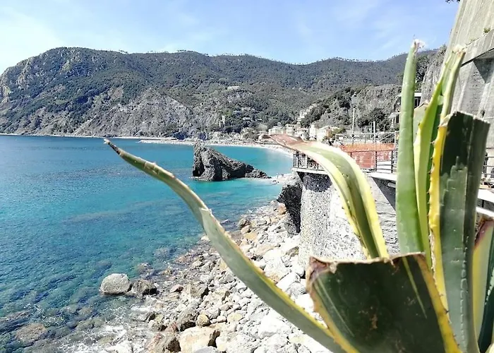 Nel Cuore Di Monterosso Cinque Terre Orto Di Ciack