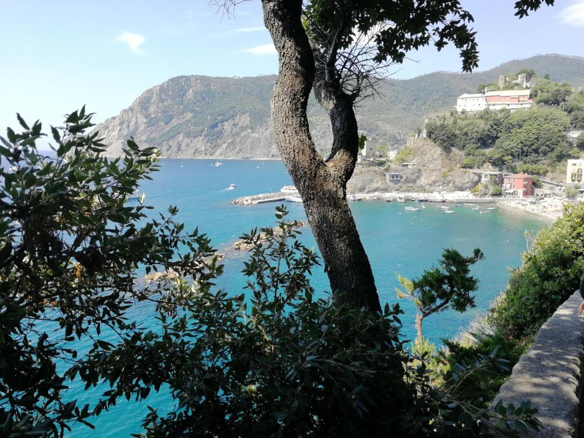 Apartment Nel Cuore Di Monterosso Cinque Terre Orto Di Ciack