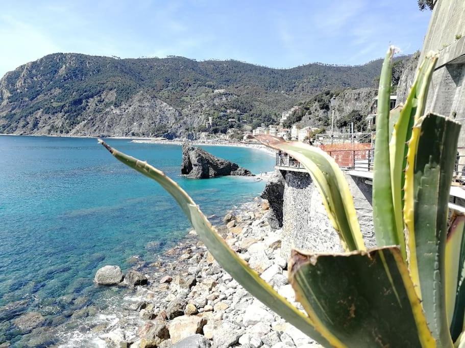 Nel Cuore Di Monterosso Cinque Terre Orto Di Ciack * Monterosso al Mare